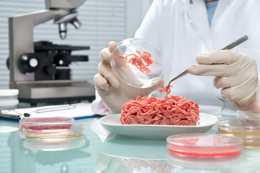 clean meat